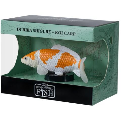 Mojo Carp koi ochiba shigure in a box